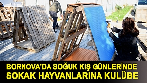 Soğuk kış günlerinde sokak hayvanlarına kulübe