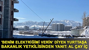 'Benim elektriğimi verin' diyen yurttaşa bakanlık yetkilisinden yanıt: Al çay iç