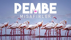 Çiğli’nin “Pembe Misafirleri” İzleyiciyle Buluştu