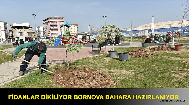 Fidanlar dikiliyor Bornova bahara hazırlanıyor
