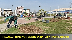 Fidanlar dikiliyor Bornova bahara hazırlanıyor