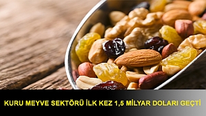 Kuru meyve sektörü ilk kez 1,5 milyar doları geçti