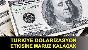 Moody's uyardı: Türkiye dolarizasyon etkisine maruz kalacak