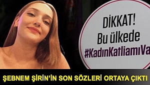 Şebnem Şirin cinayeti: Furkan Zıbıncı hakkında iddianame hazırlandı