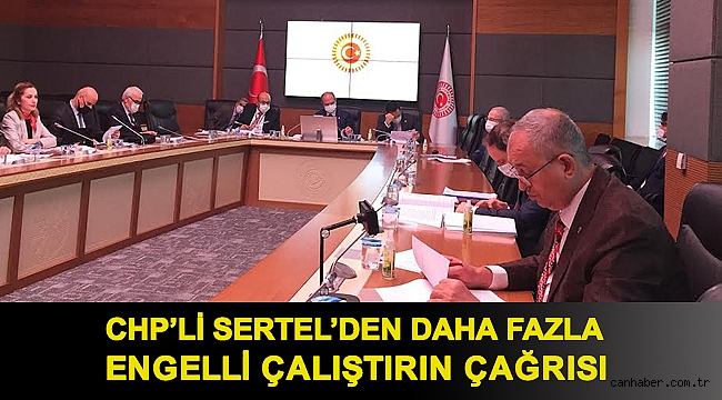 Sertel’den daha fazla engelli çalıştırın çağrısı