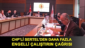 Sertel’den daha fazla engelli çalıştırın çağrısı