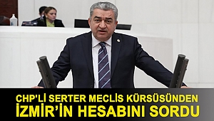 Serter Meclis kürsüsünden İzmir’in hesabını sordu