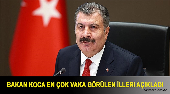 Son dakika: Bakan Koca en çok vaka görülen illeri açıkladı