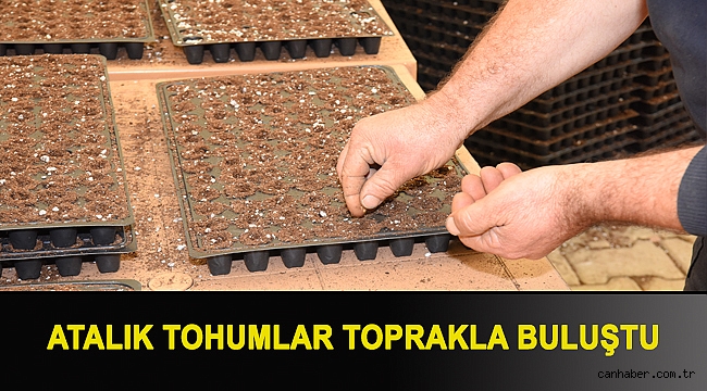 Atalık tohumlar toprakla buluştu
