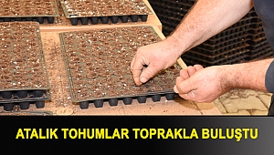Atalık tohumlar toprakla buluştu