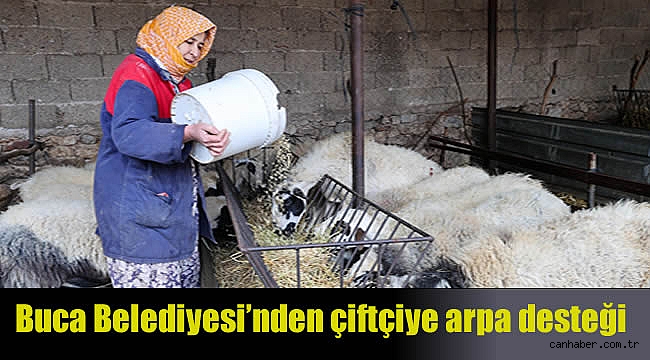 Buca Belediyesi’nden çiftçiye arpa desteği