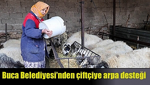 Buca Belediyesi’nden çiftçiye arpa desteği
