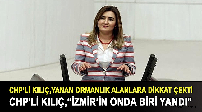 CHP'li Kılıç: “İzmir’in onda biri yandı”