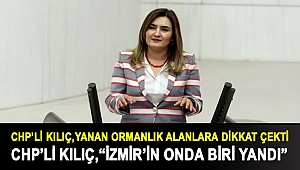 CHP'li Kılıç: “İzmir’in onda biri yandı”