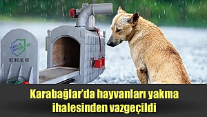 Karabağlar'da hayvanları yakma ihalesinden vazgeçildi
