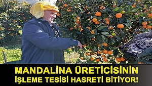 Mandalina üreticisinin işleme tesisi hasreti bitiyor!