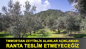 TMMOB'dan zeytinlik alanlar açıklaması: Ranta teslim etmeyeceğiz