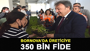 Bornova’da üreticiye 350 bin fide