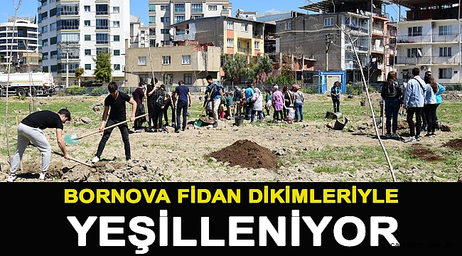 Bornova fidan dikimleriyle yeşilleniyor