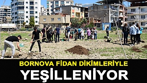 Bornova fidan dikimleriyle yeşilleniyor
