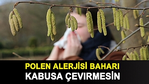 Polen Alerjisi Baharı Kabusa Çevirmesin