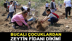 Bucalı çocuklardan zeytin fidanı dikimi