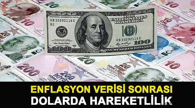 Enflasyon verisi sonrası dolarda hareketlilik
