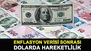 Enflasyon verisi sonrası dolarda hareketlilik