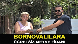 Bornovalılara ücretsiz meyve fidanı