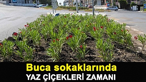 Buca sokaklarında yaz çiçekleri zamanı