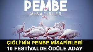 Çiğli’nin Pembe Misafirleri 10 Festivalde Ödüle Aday