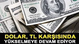 Dolar, TL karşısında yükselmeye devam ediyor