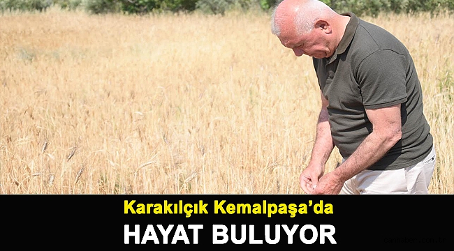 KARAKILÇIK KEMALPAŞA’DA HAYAT BULUYOR