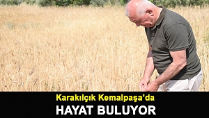 KARAKILÇIK KEMALPAŞA’DA HAYAT BULUYOR