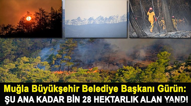 Muğla Büyükşehir Belediye Başkanı Gürün: Şu ana kadar bin 28 hektarlık alan yandı
