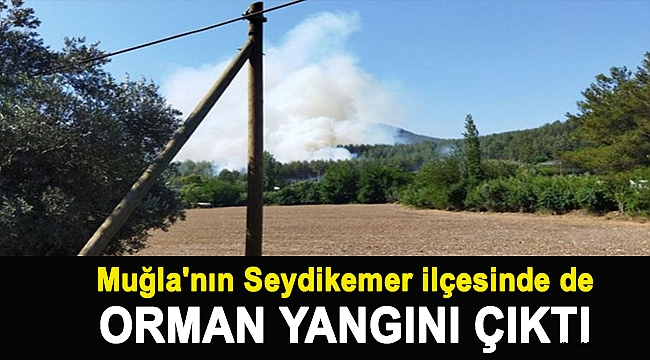 Muğla'nın Seydikemer ilçesinde de orman yangını çıktı