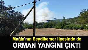 Muğla'nın Seydikemer ilçesinde de orman yangını çıktı