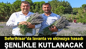 Seferihisar’da lavanta ve ekinezya hasadı şenlikle kutlanacak