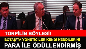 Torpilin böylesi! BOTAŞ’ta yöneticiler kendi kendilerini para ile ödüllendirmiş