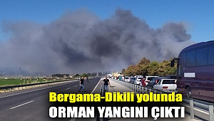 Bergama-Dikili yolunda orman yangını çıktı