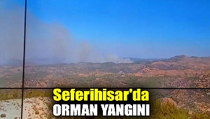 Seferihisar'da orman yangını