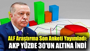 ALF Araştırma son anketi yayımladı: AKP yüzde 30'un altına indi