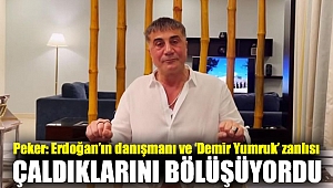Peker: Erdoğan’ın danışmanı ve ‘Demir Yumruk’ zanlısı çaldıklarını bölüşüyordu