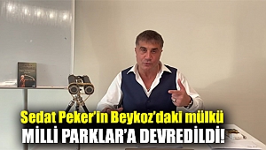 Sedat Peker’in Beykoz’daki mülkü Milli Parklar’a devredildi!