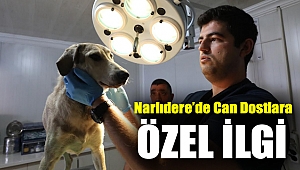 NARLIDERE’DE CAN DOSTLARA ÖZEL İLGİ