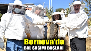 Bornova'da bal sağımı başladı