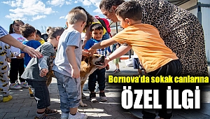 Bornova’da sokak canlarına özel ilgi