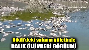 Dikili'deki sulama göletinde balık ölümleri görüldü