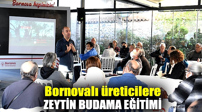 Bornovalı üreticilere zeytin budama eğitimi
