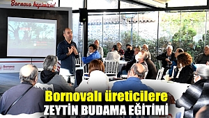 Bornovalı üreticilere zeytin budama eğitimi